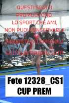 12328_CS1-CUP-PREM