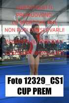 12329_CS1-CUP-PREM
