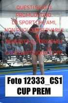 12333_CS1-CUP-PREM