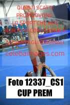12337_CS1-CUP-PREM