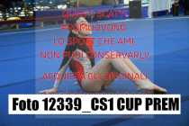 12339_CS1-CUP-PREM