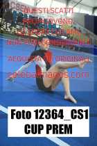12364_CS1-CUP-PREM