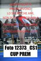 12373_CS1-CUP-PREM