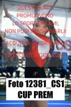 12381_CS1-CUP-PREM