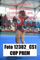 12382_CS1-CUP-PREM
