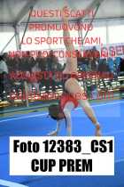 12383_CS1-CUP-PREM