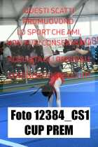 12384_CS1-CUP-PREM