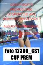 12386_CS1-CUP-PREM
