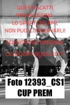 12393_CS1-CUP-PREM