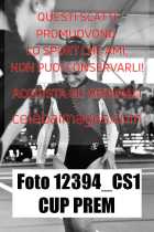 12394_CS1-CUP-PREM