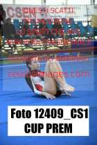 12409_CS1-CUP-PREM