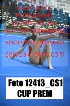 12413_CS1-CUP-PREM