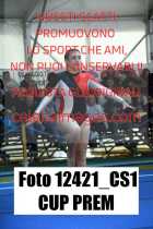 12421_CS1-CUP-PREM