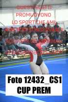 12432_CS1-CUP-PREM