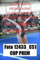 12433_CS1-CUP-PREM