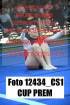 12434_CS1-CUP-PREM