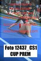 12437_CS1-CUP-PREM