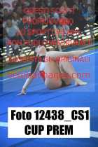 12438_CS1-CUP-PREM