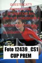 12439_CS1-CUP-PREM