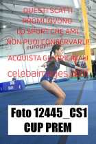 12445_CS1-CUP-PREM