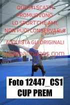 12447_CS1-CUP-PREM