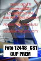 12448_CS1-CUP-PREM
