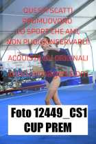 12449_CS1-CUP-PREM