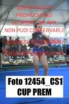 12454_CS1-CUP-PREM