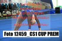 12459_CS1-CUP-PREM