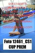 12461_CS1-CUP-PREM