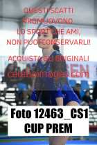 12463_CS1-CUP-PREM