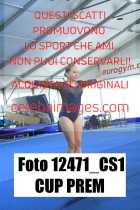 12471_CS1-CUP-PREM