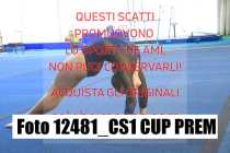 12481_CS1-CUP-PREM