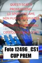 12496_CS1-CUP-PREM