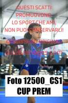 12500_CS1-CUP-PREM