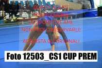 12503_CS1-CUP-PREM