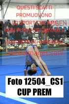 12504_CS1-CUP-PREM