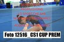 12516_CS1-CUP-PREM