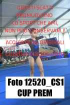 12520_CS1-CUP-PREM