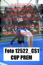 12522_CS1-CUP-PREM