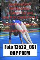 12523_CS1-CUP-PREM