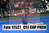 12527_CS1-CUP-PREM