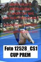 12528_CS1-CUP-PREM