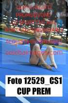 12529_CS1-CUP-PREM