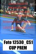 12530_CS1-CUP-PREM