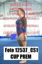 12537_CS1-CUP-PREM