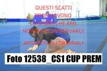 12538_CS1-CUP-PREM