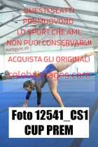 12541_CS1-CUP-PREM