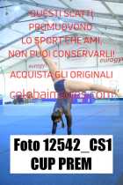 12542_CS1-CUP-PREM