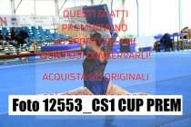 12553_CS1-CUP-PREM